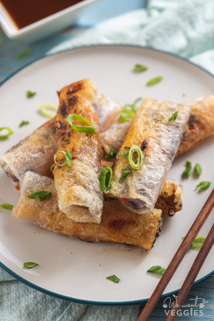 Crispy spring rolls on a plate with hoisin dip