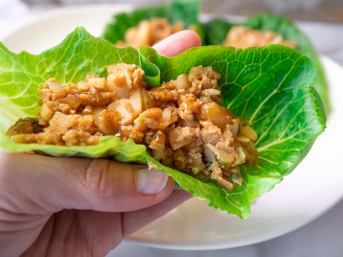 Vegan Lettuce Wrap in hand